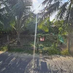 Bán đất mặt tiền 338m2 Diên Thọ Khánh Hòa 779 triệu - Ảnh thu nhỏ 4