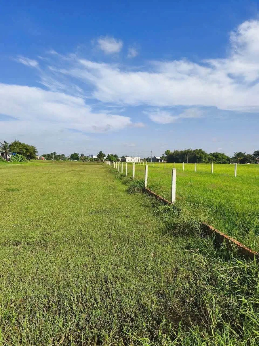 Bán đất thổ cư 870m2 (10x87m) sổ hồng riêng xã Mỹ Hạnh, gần chợ Đức Hòa Thượng - Ảnh thu nhỏ 2