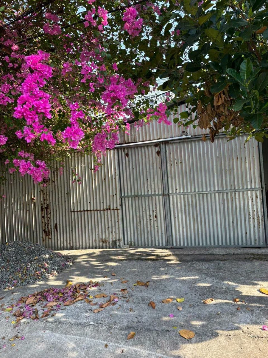 Bán nhà đất 300m² mặt tiền Nguyễn Văn Tạo Nhà Bè 6.6 tỷ - Ảnh thu nhỏ 3