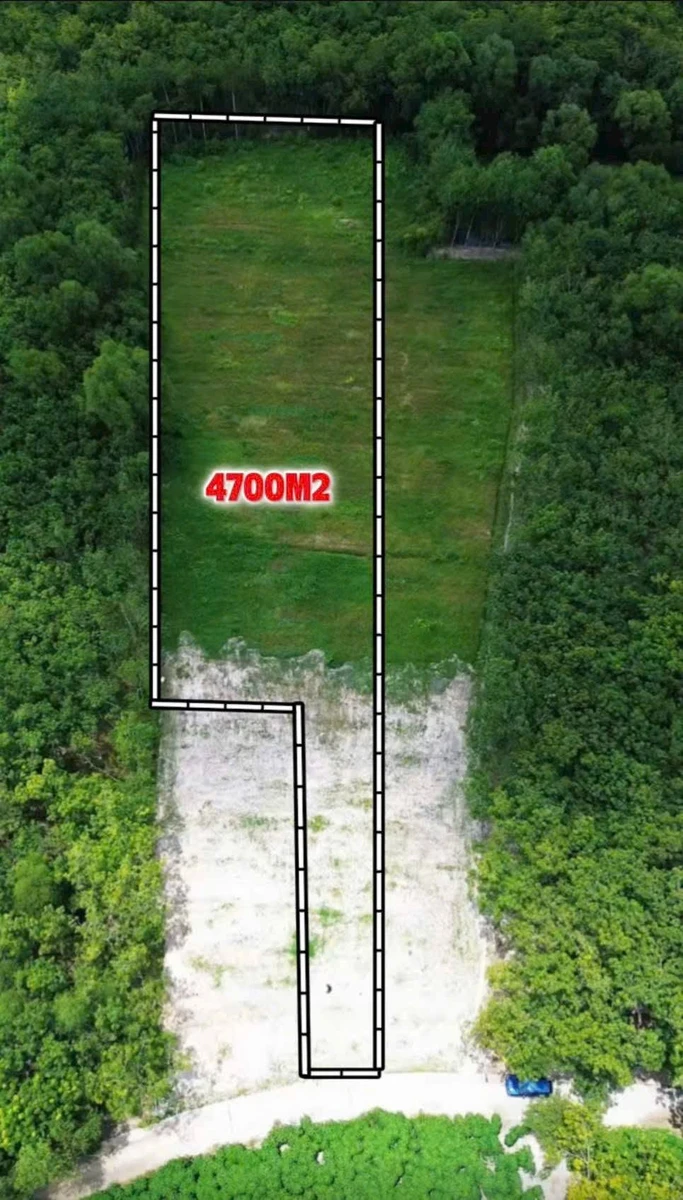 Bán đất sào view suối 4700m2 tại Đồng Nai - Ảnh thu nhỏ 4