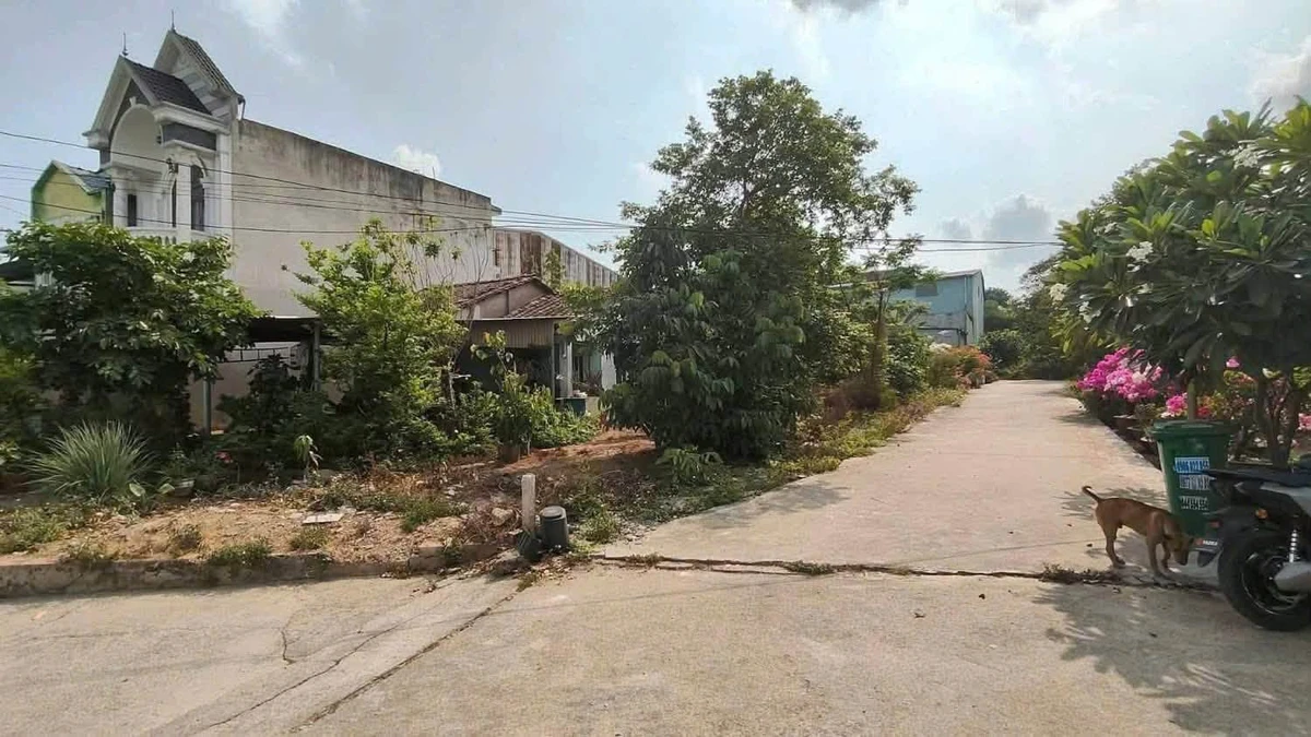 Bán đất Tân Phước Khánh 269m² giá 2 tỷ 750 triệu - Ảnh thu nhỏ 4