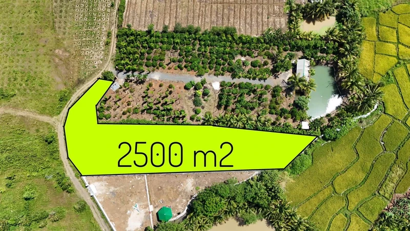 Bán 2,5 sào đất view Bà Rịa - Vũng Tàu 1 tỷ 90