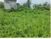 Bán đất tại Phường Mỹ Hòa, thành phố Long Xuyên (nay là phường Long Xuyên), tỉnh An Giang - Ảnh thu nhỏ 4