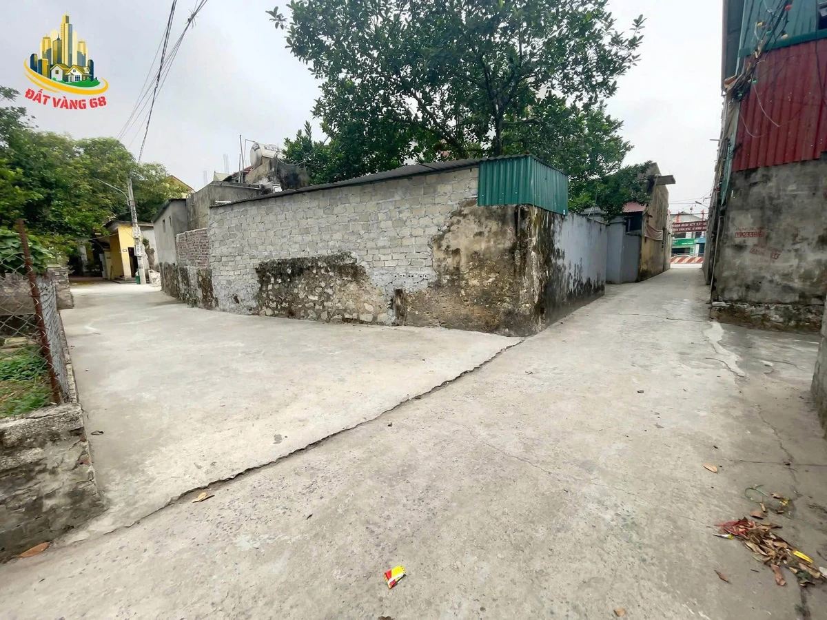 Bán lô đất 45m2 phố Ninh Khang gần Trần Hưng Đạo - Ảnh 1