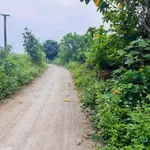 Bán đất bám suối view núi đá Hòa Bình 1.160m² - Ảnh thu nhỏ 1