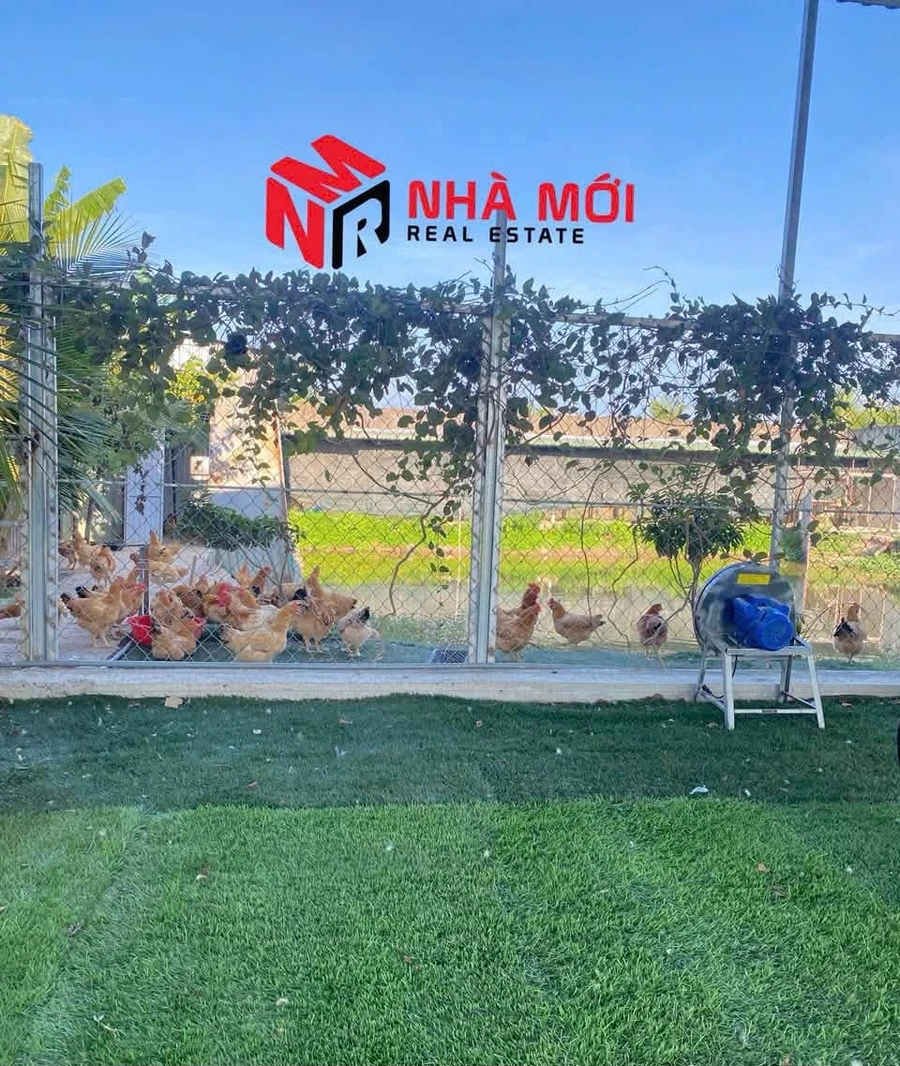 Bán đất mặt tiền Lý Văn Lâm 3.673m² Phường 1 Cà Mau 9 tỷ - Ảnh thu nhỏ 4