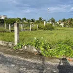 Bán lô đất góc 252m2 đường xe hơi Lâm Đồng - Ảnh thu nhỏ 1