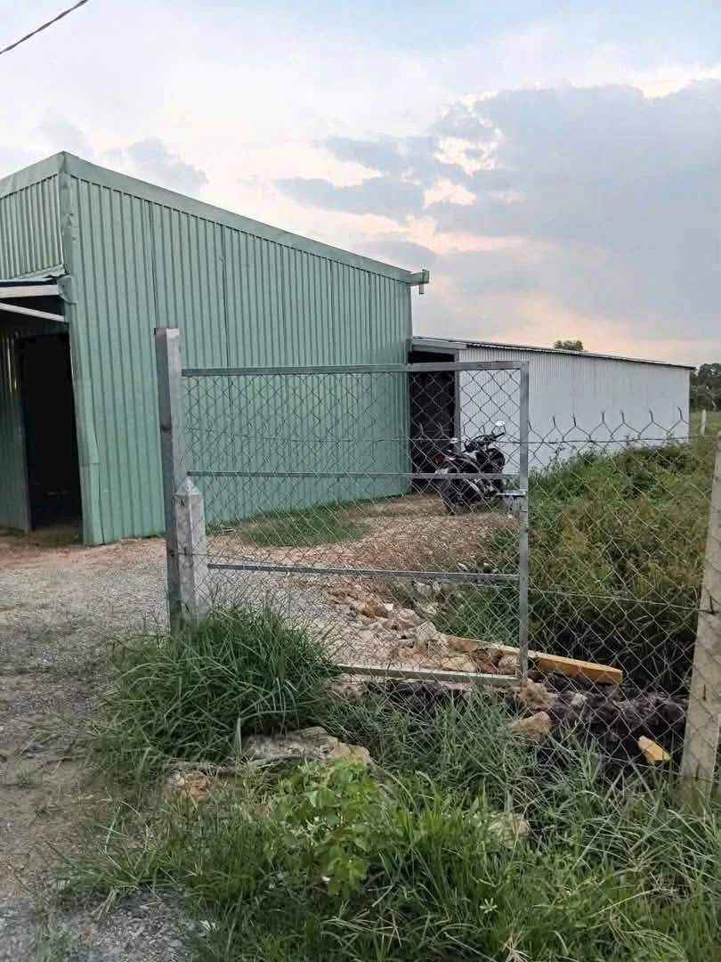 Bán lô đất vườn Phú An 1.156m2, giá 2 tỷ - Ảnh thu nhỏ 4