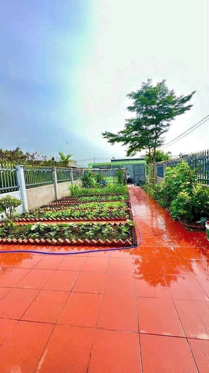 Bán nhà vườn 310m² thị trấn Cần Giờ gần QL50 - Ảnh thu nhỏ 2