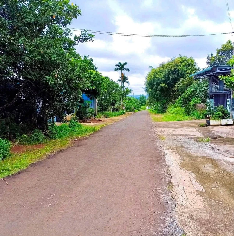 Bán lô đất Nguyễn Ái Quốc Lâm Đồng 360m2, 510 triệu - Ảnh thu nhỏ 2