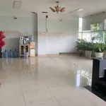 Cho thuê nhà mặt tiền B2, 650m², Tây Thạnh, Tân Bình - Ảnh thu nhỏ 2