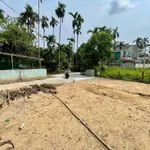 Bán đất trung tâm TP HCM 167m2 sổ hồng riêng, 890 triệu - Ảnh thu nhỏ 4