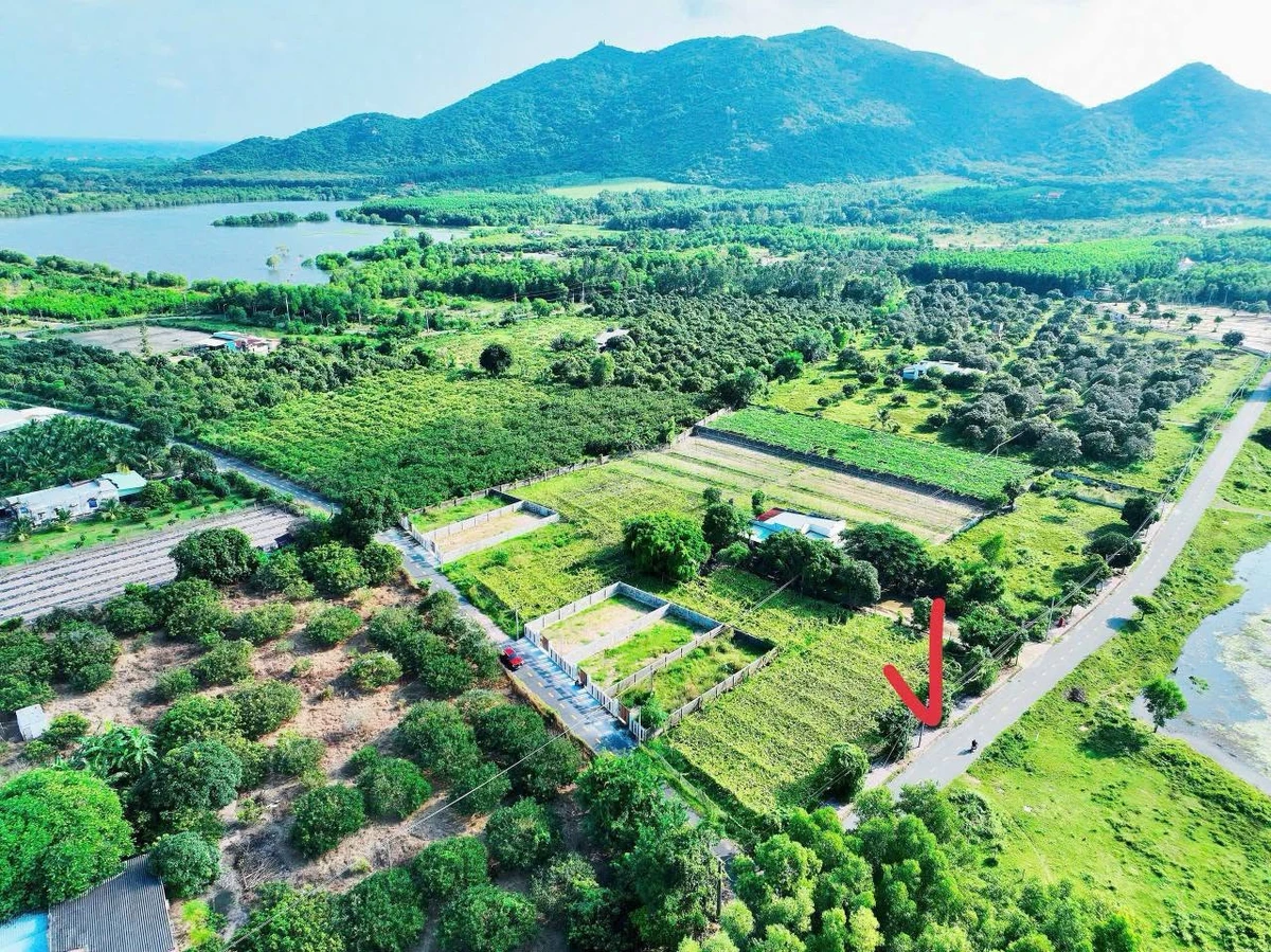 Đất bán 241,3m² Phước Hải Long Đất, view núi hồ - Ảnh thu nhỏ 4