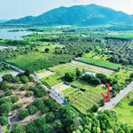 Đất bán 241,3m² Phước Hải Long Đất, view núi hồ - Ảnh thu nhỏ 4