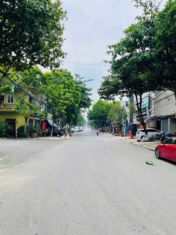 Bán đất 126m² đường Lê Thanh B2 Bắc Cường, 2.5 tỷ - Ảnh thu nhỏ 4