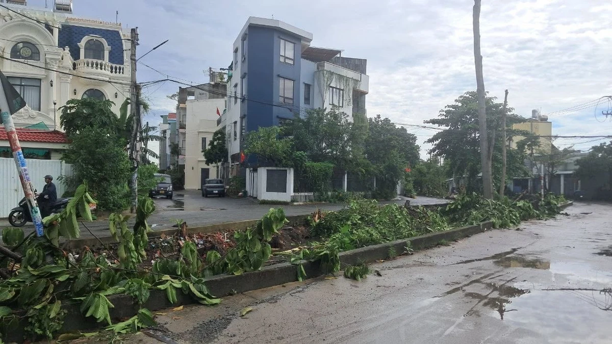 Bán nhà hẻm 4 PN Vườn Lài An Phú Đông 53m² - Ảnh thu nhỏ 2