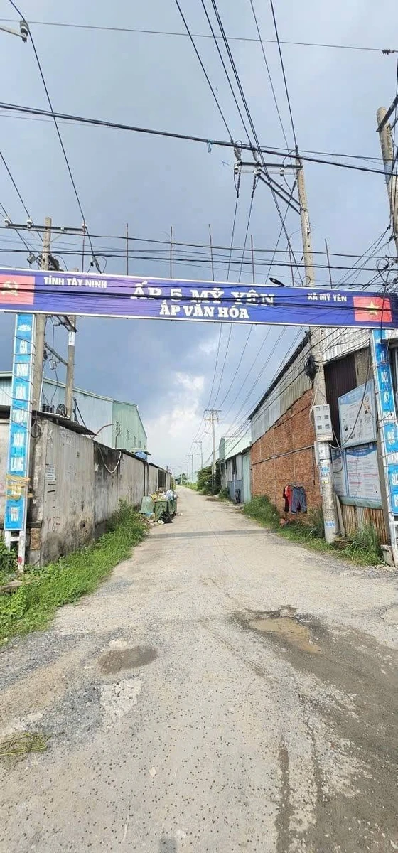 Bán nền đất mặt tiền 150m² Mỹ Yên, Long An 1,95 tỷ - Ảnh thu nhỏ 2