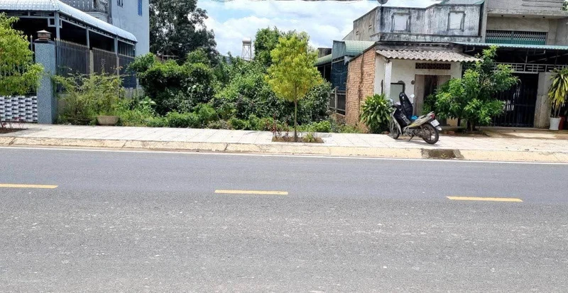 Bán đất 300m² mặt tiền Lâm Đồng 2,2 tỷ
