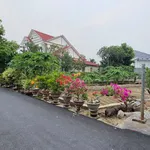 Bán đất 118.5 m² gần Nha Trang, giá 1 tỷ 320 triệu - Ảnh thu nhỏ 1