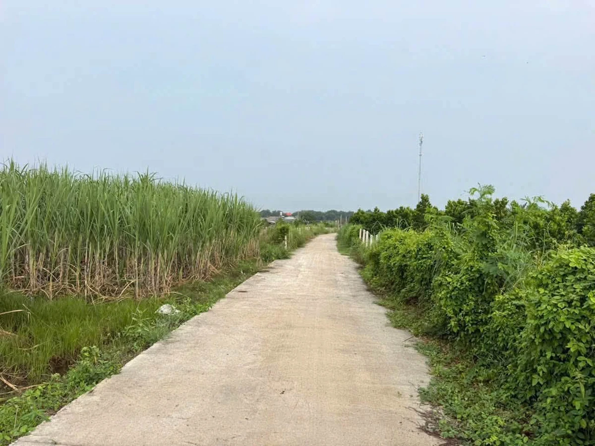 Bán đất 763m² mặt tiền Láng Dài, Xã Đất Đỏ, giá 9 tỷ - Ảnh thu nhỏ 2