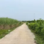 Bán đất 763m² mặt tiền Láng Dài, Xã Đất Đỏ, giá 9 tỷ - Ảnh thu nhỏ 2