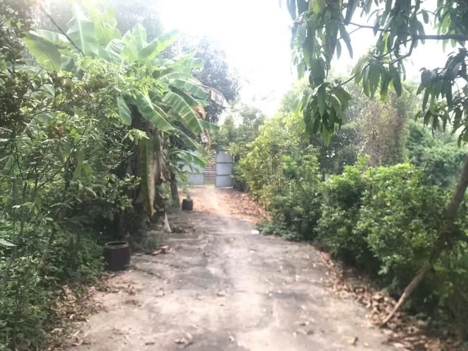 Bán đất vườn 1.456m² Tương Bình Hiệp, Thủ Dầu Một, giá 17,5 tỷ - Ảnh 1