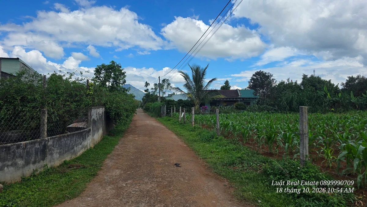 Bán đất thổ cư 132.5m² khu dân cư Biển Hồ Pleiku, 5.5 tỷ - Ảnh thu nhỏ 5