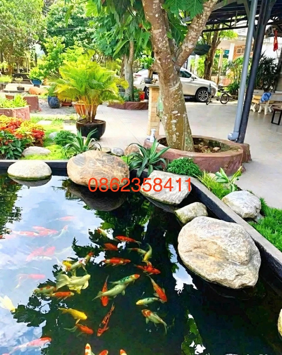 Biệt thự hoàn công 1.982m² Tân Thông Hội, Củ Chi 16 tỷ - Ảnh thu nhỏ 2