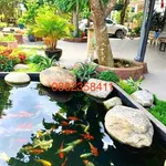 Biệt thự hoàn công 1.982m² Tân Thông Hội, Củ Chi 16 tỷ - Ảnh thu nhỏ 2