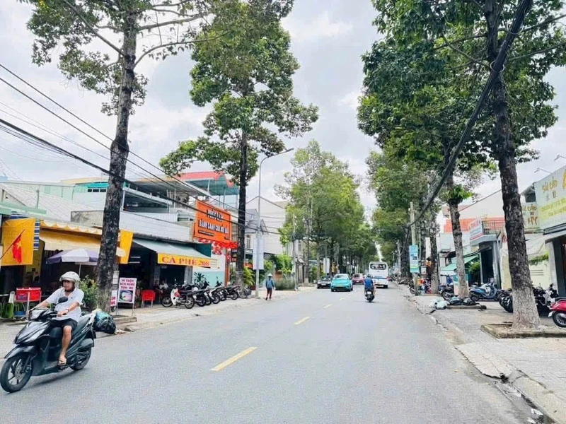 Bán nhà 2 mặt tiền Đường 4 Trương Định, Đồng Nai, 193m², 14.2 tỷ