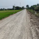 Bán đất lúa 9394m² Tân Thành, Long An - Ảnh thu nhỏ 2