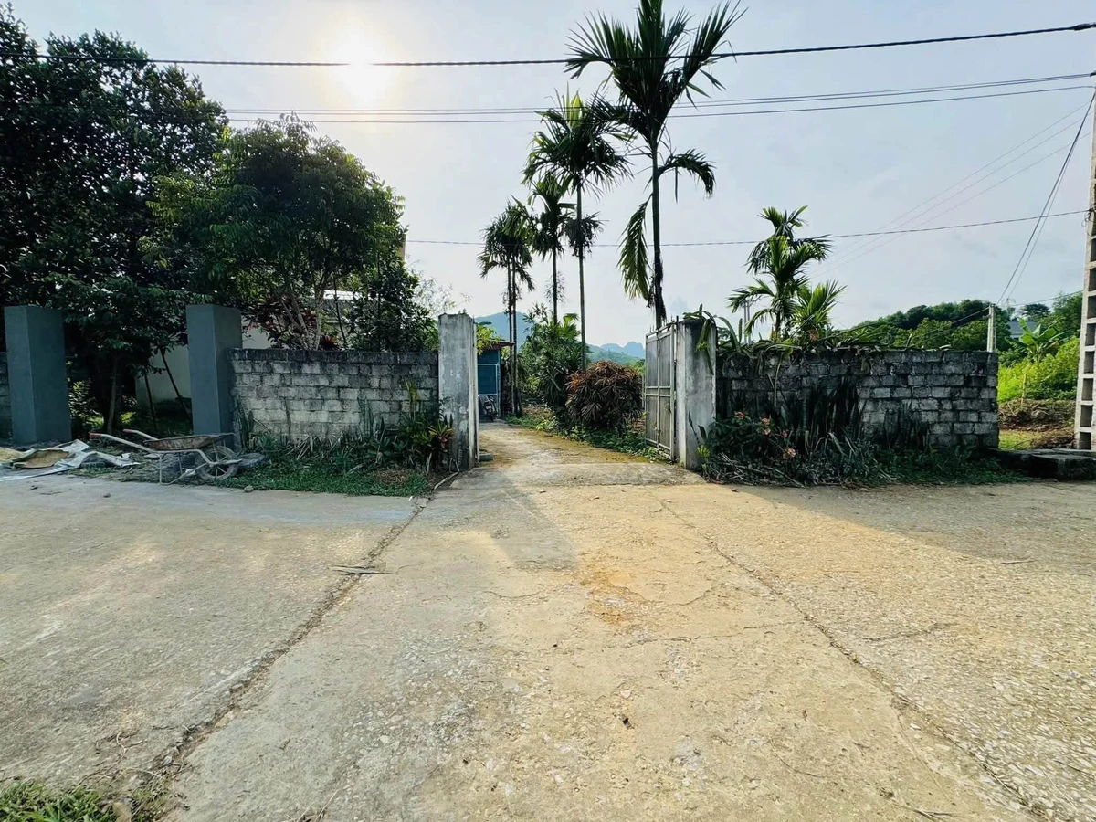 Bán đất 254m² Kim Bôi, Hòa Bình hơn 500 triệu - Ảnh thu nhỏ 4