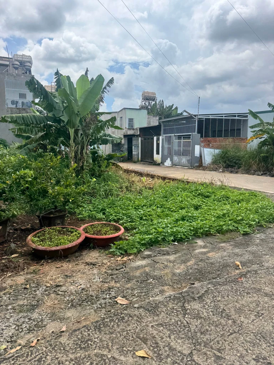 Bán đất tân lợi 98m² giá 3 tỷ 990 - Ảnh thu nhỏ 3
