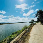 Bán lô góc view sông 220m2, Thị Xã An Nhơn, 680 triệu - Ảnh thu nhỏ 3