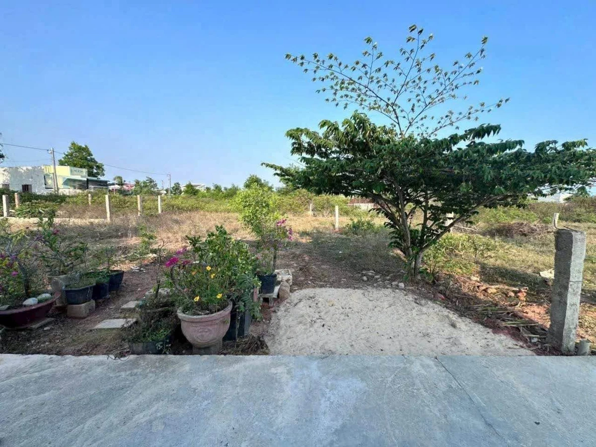 Bán đất thổ cư 137m2 Hàm Thắng, Lâm Đồng - 1 tỷ - Ảnh thu nhỏ 3