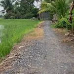 Bán đất lúa 1800m² Xã Nhựt Tảo Tây Ninh 520 triệu - Ảnh thu nhỏ 2