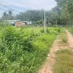 Bán đất cao su mặt tiền 3.5 công Tây Ninh - Ảnh thu nhỏ 2