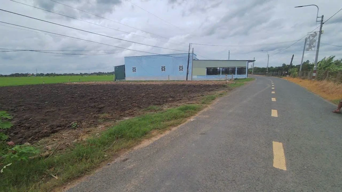 Bán đất nền 175m² đường 9m Nguyễn Văn Mỹ Tân Trụ 850 triệu - Ảnh thu nhỏ 3