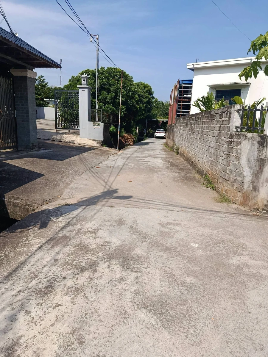 Bán 100m² đất xã Lại Xuân Việt Khê, Thuỷ Nguyên 500 triệu - Ảnh thu nhỏ 2