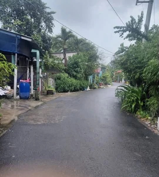 Bán lô đất 530m² ngang 10m tại Phú An, Thủ Đức, 2 tỷ 200 - Ảnh thu nhỏ 4