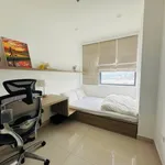 Cho thuê căn hộ Nera View Phú Mỹ An 66m2 2 phòng ngủ - Ảnh thu nhỏ 1