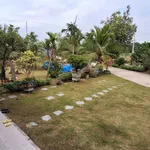 Bán villa sân vườn 2000m² Hàm Liêm, 4,2 tỷ - Ảnh thu nhỏ 4