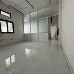 Cho thuê nhà nguyên căn 68m² 3 phòng ngủ mặt tiền Hoàng Hoa Thám - Ảnh thu nhỏ 3