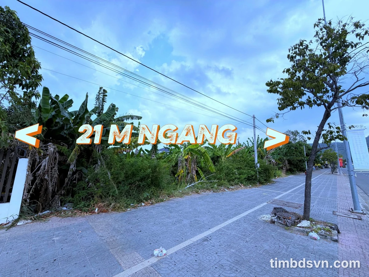 Bán đất mặt tiền Văn Tiến Dũng, Tân Hưng, 1089m2 - Ảnh thu nhỏ 3