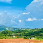 Chỉ 370 Triệu Sở Hữu Lô đất Gần Chùa Linh Ẩn, Sẵn Thổ Cư, SHR Công Chứng Ngay - Ảnh thu nhỏ 2