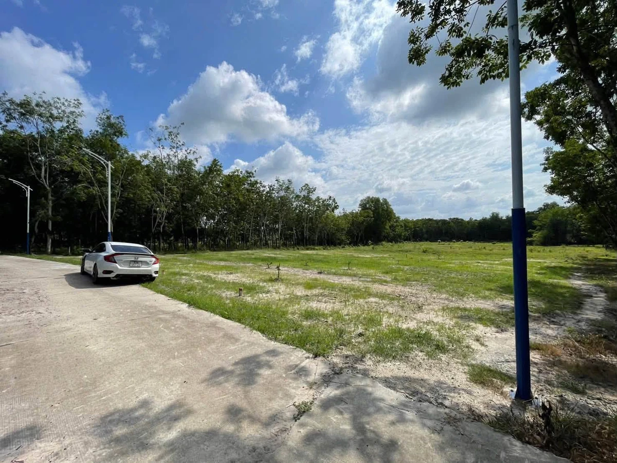 Đất sào view suối 4700m² Đồng Nai - 1 tỷ 500 - Ảnh thu nhỏ 2