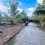 Bán đất Sơn Đông Vĩnh Long 666m2, 1 tỷ 180 triệu - Ảnh thu nhỏ 2
