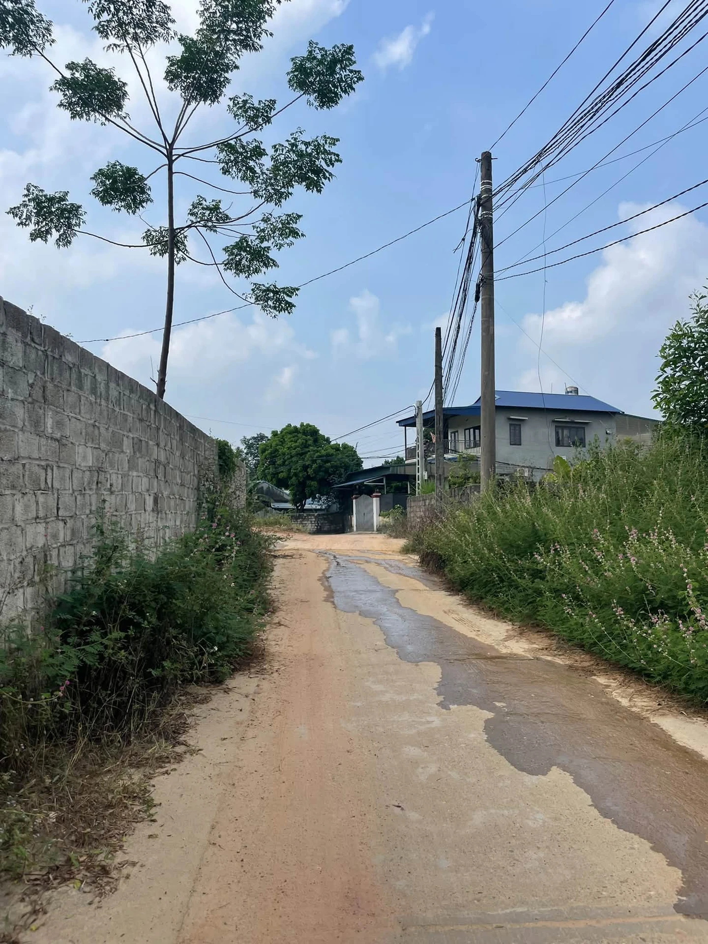 Bán đất 100m² gần Bệnh viện Y học Cổ truyền Thái Nguyên, Thái Nguyên - Ảnh 1