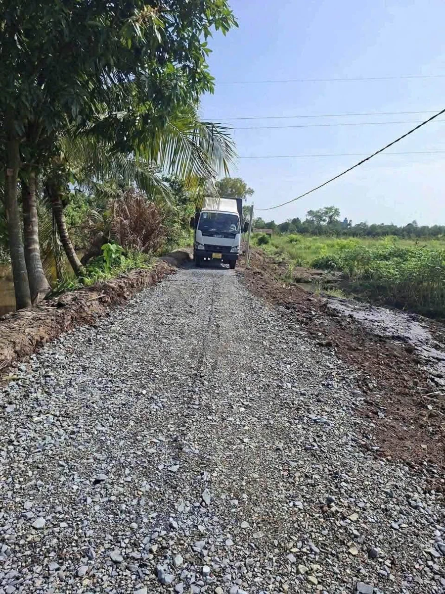 Bán 1000m đất vườn 12x84m Bình Đức, Bến Lức, Long An - Ảnh thu nhỏ 2