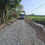 Bán 1000m đất vườn 12x84m Bình Đức, Bến Lức, Long An - Ảnh thu nhỏ 2